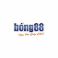 Bong88uknet Avatar, Bong88uknet Profilbild