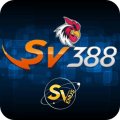 Sv3888comlinkcasino Avatar, Sv3888comlinkcasino Profilbild