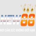 New88city Avatar, New88city Profilbild