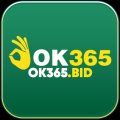 Ok365bid Avatar, Ok365bid Profilbild