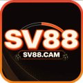 SV88cam Avatar, SV88cam Profilbild