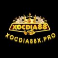 Xocdia88w Avatar, Xocdia88w Profilbild