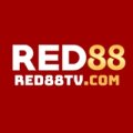 Red88tvcom Avatar, Red88tvcom Profilbild