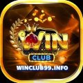 Winclub99info Avatar, Winclub99info Profilbild