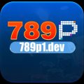 789P1dev Avatar, 789P1dev Profilbild