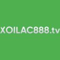 Xoilacanstad Avatar, Xoilacanstad Profilbild