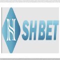 Shbetcomvn1 Avatar, Shbetcomvn1 Profilbild