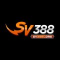 Sv388corg Avatar, Sv388corg Profilbild