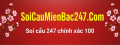Soicaumienbac Avatar, Soicaumienbac Profilbild