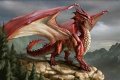 WelschDragon Avatar, WelschDragon Profilbild