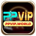 Ppvipworld Avatar, Ppvipworld Profilbild