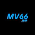 Mv66shop1 Avatar, Mv66shop1 Profilbild