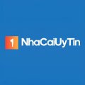 Nhacaiuytinmcm Avatar, Nhacaiuytinmcm Profilbild
