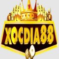 Xocdia88cocom Avatar, Xocdia88cocom Profilbild