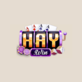 Haywin1video Avatar, Haywin1video Profilbild