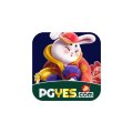 Pgyesapp1 Avatar, Pgyesapp1 Profilbild