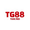 Tg88taxi Avatar, Tg88taxi Profilbild