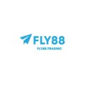 Fly88trading Avatar, Fly88trading Profilbild