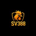 Sv388vm Avatar, Sv388vm Profilbild