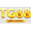 Tg88markets Avatar, Tg88markets Profilbild