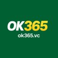 Ok365vc Avatar, Ok365vc Profilbild