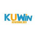 Kuwinndev Avatar, Kuwinndev Profilbild
