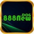 888Newdog Avatar, 888Newdog Profilbild