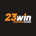 23winvngames Avatar, 23winvngames Profilbild