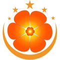 Shophoatuoidanangvn Avatar, Shophoatuoidanangvn Profilbild