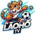 Laohotvcollege Avatar, Laohotvcollege Profilbild