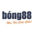 Bong88aicom Avatar, Bong88aicom Profilbild