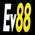 Ev88expert Avatar, Ev88expert Profilbild