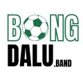 Bongdaluuknet Avatar, Bongdaluuknet Profilbild