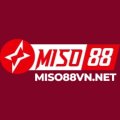 Miso88vnnet Avatar, Miso88vnnet Profilbild