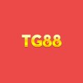 Tg8899top Avatar, Tg8899top Profilbild