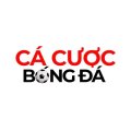 Cacuocbongdaitcom1 Avatar, Cacuocbongdaitcom1 Profilbild