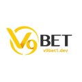 V9bet1dev Avatar, V9bet1dev Profilbild