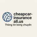 Cheapcarinsuranceall Avatar, Cheapcarinsuranceall Profilbild