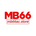 Mb66acstore Avatar, Mb66acstore Profilbild