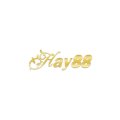 Hay88run Avatar, Hay88run Profilbild