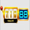 Tin88 Avatar, Tin88 Profilbild