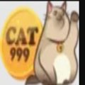 Cat999kim Avatar, Cat999kim Profilbild