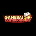 Gamebaidtmy Avatar, Gamebaidtmy Profilbild