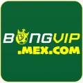 Bongvipmexcom Avatar, Bongvipmexcom Profilbild