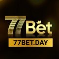 77betday Avatar, 77betday Profilbild