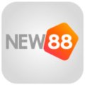 New883qn Avatar, New883qn Profilbild