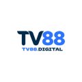 Tv88digital Avatar, Tv88digital Profilbild