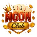 Ngonclubtech Avatar, Ngonclubtech Profilbild