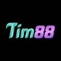 Tim88legal Avatar, Tim88legal Profilbild