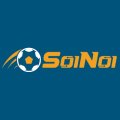 Soinoico Avatar, Soinoico Profilbild